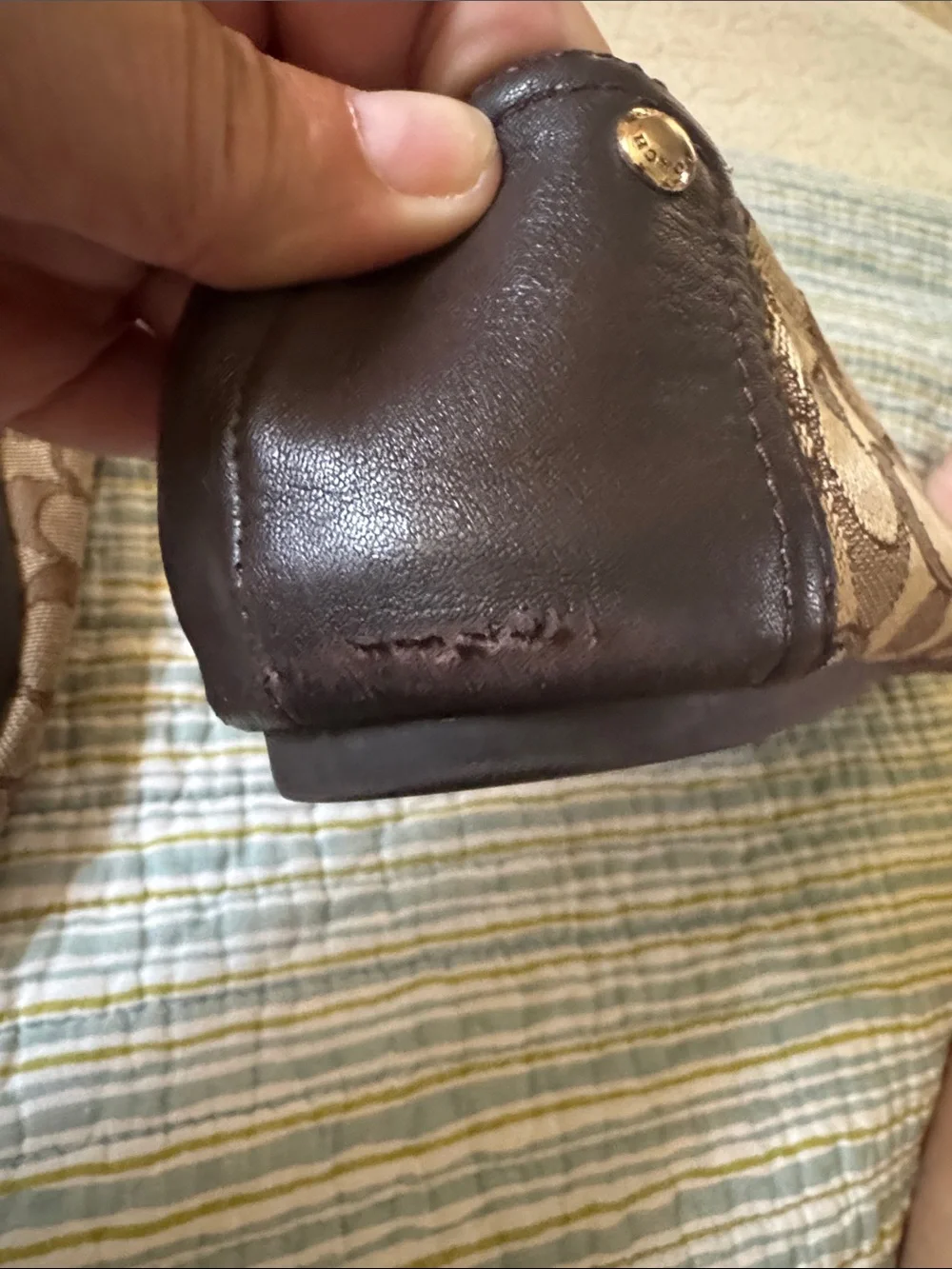 Coach classic canvas